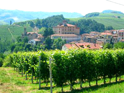 Barolo wine route & vineyards Italy -Nicholas Baumgartner